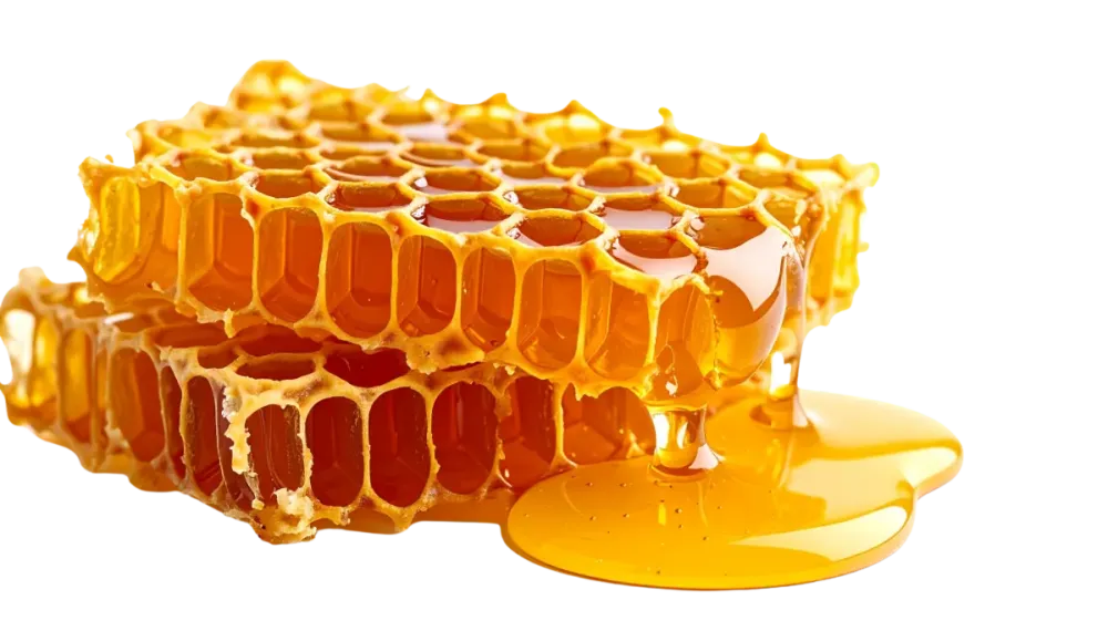 miel de producteur local à Chailly-en-Gâtinais